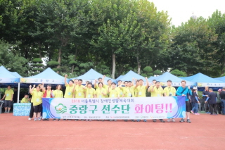 2018년 서울시장애인생활체육대회